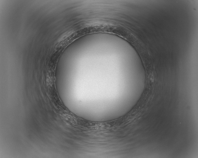 X0000076330869200610201702