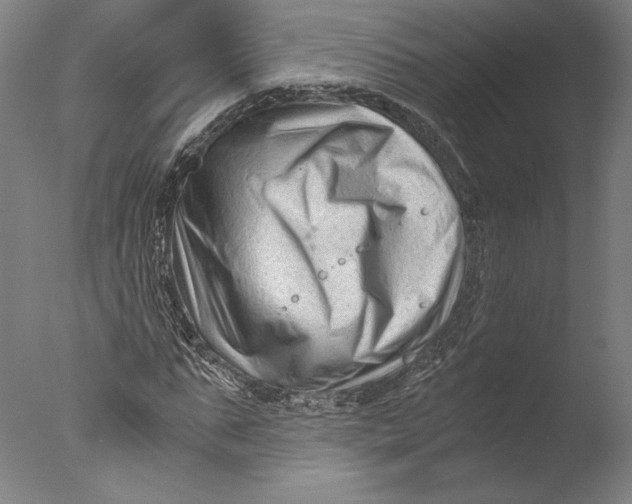 X0000076330871200610201702