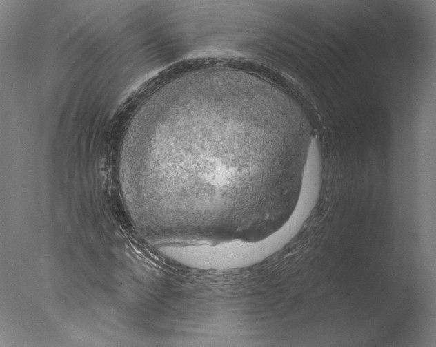 X0000076330872200610201702