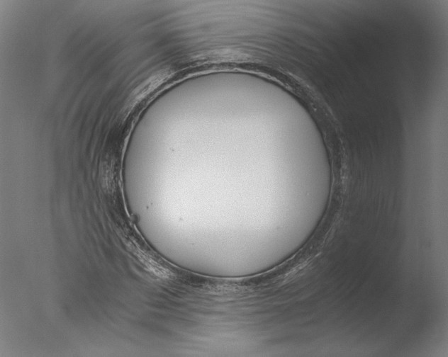 X0000076330873200610201702