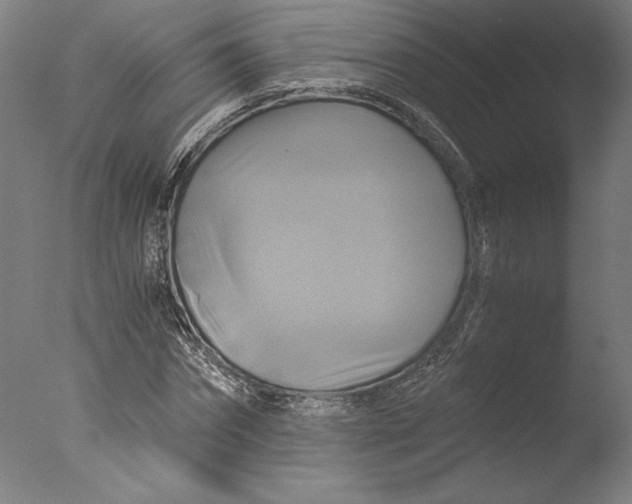 X0000076330874200610201702