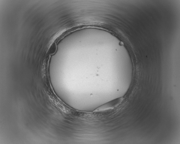 X0000076330875200610201702