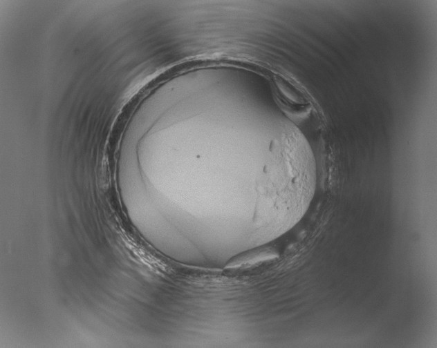 X0000076330876200610201702