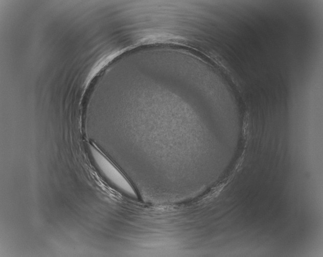 X0000076330877200610201702