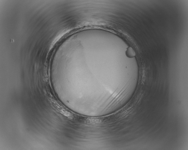 X0000076330878200610201702