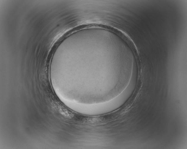 X0000076330879200610201702