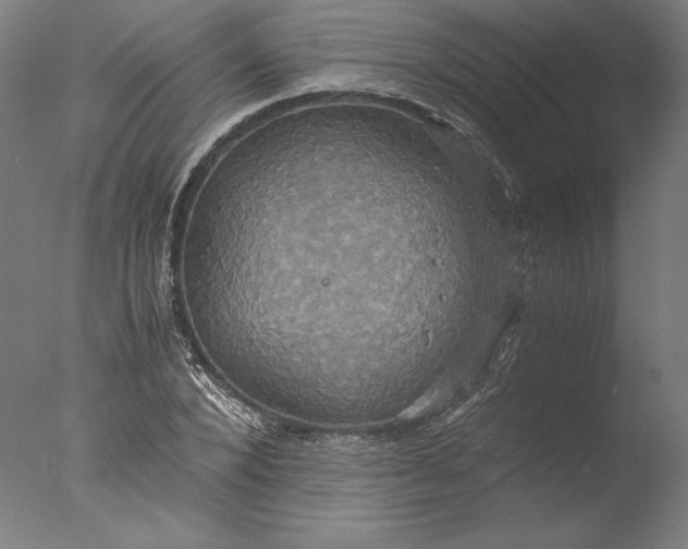 X0000076330880200610201702