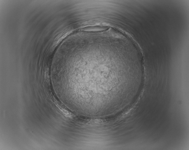 X0000076330881200610201702