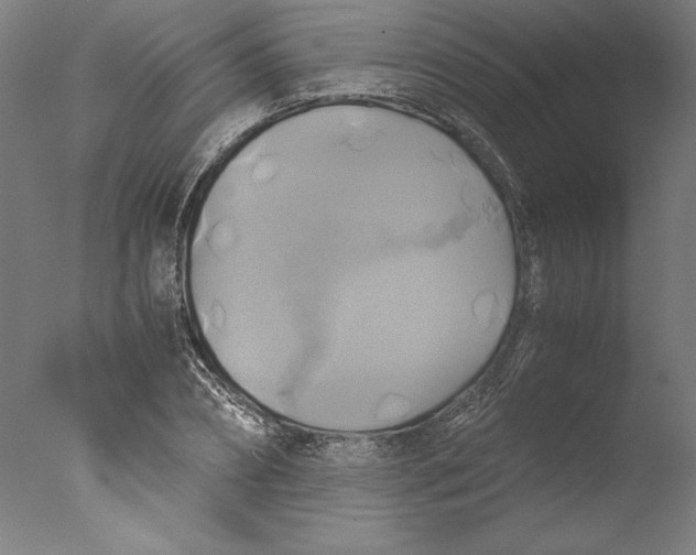 X0000076330882200610201702