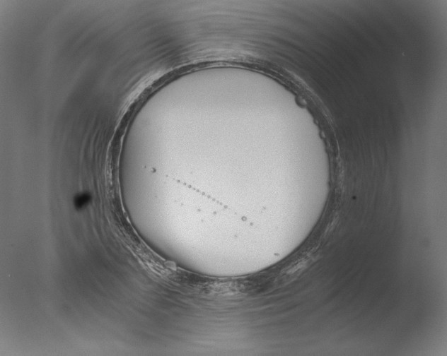 X0000076330883200610201702