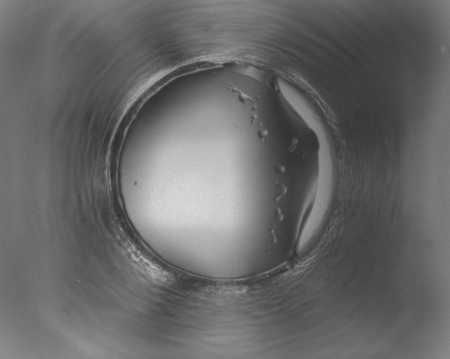 X0000076330884200610201702