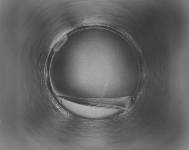 X0000076330885200610201702