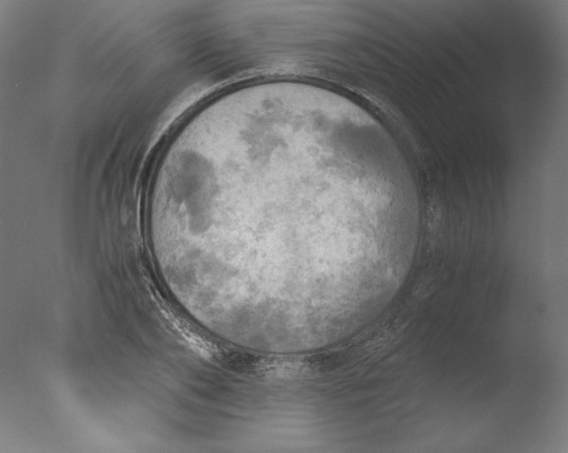 X0000076330886200610201702