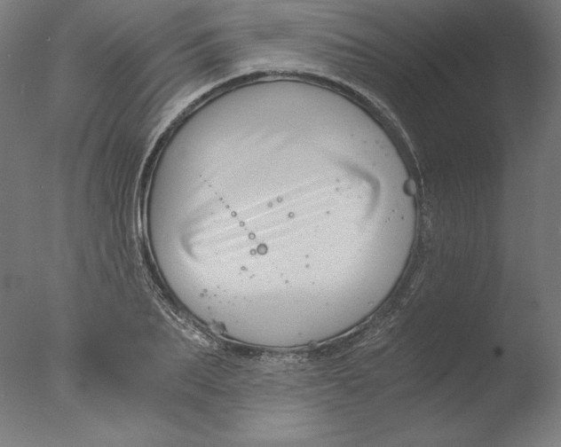 X0000076330887200610201702