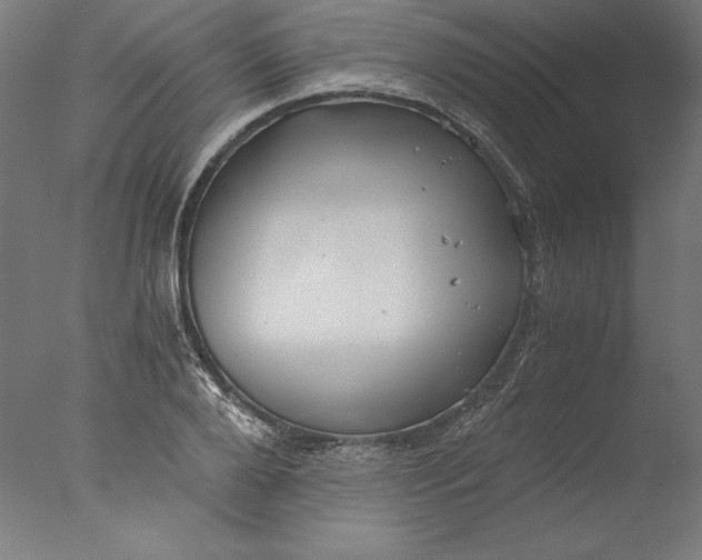 X0000076330888200610201702