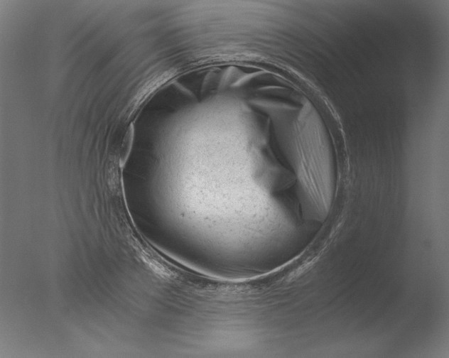 X0000076330889200610201702