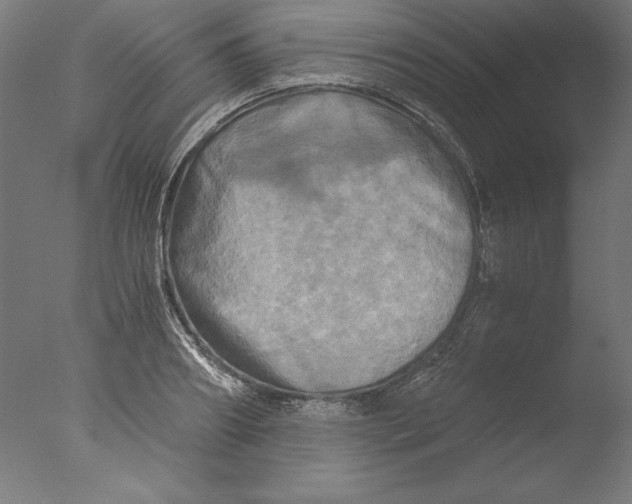 X0000076330890200610201702