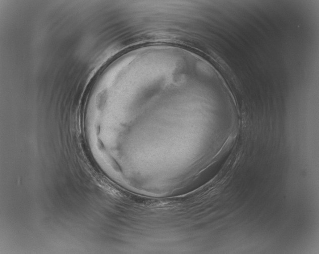 X0000076330891200610201702