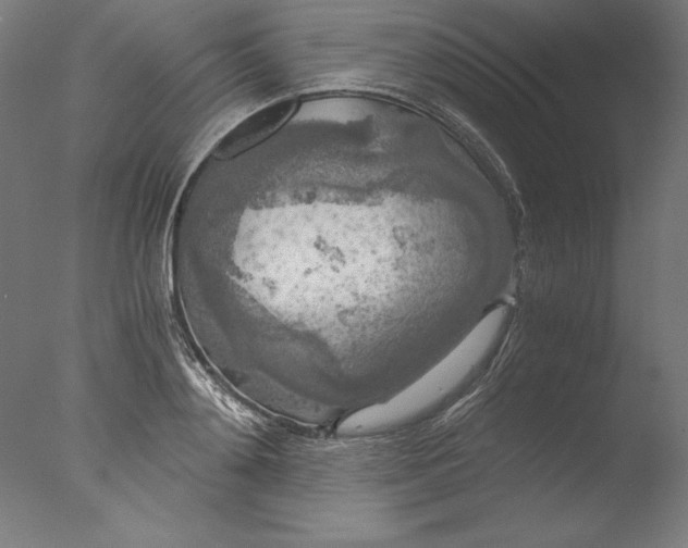 X0000076330892200610201702