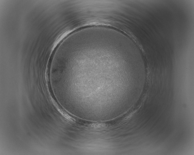 X0000076330893200610201702