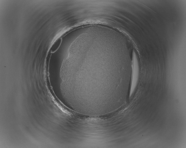 X0000076330894200610201702