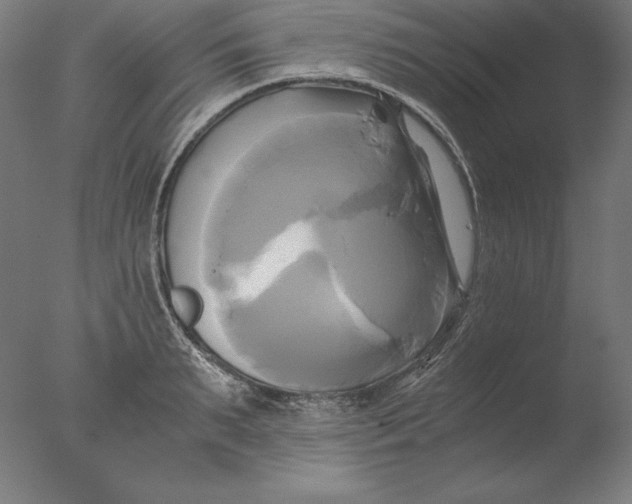 X0000076330895200610201701