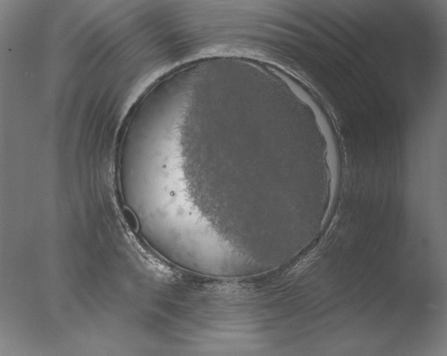 X0000076330896200610201701