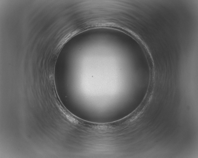 X0000076330897200610201701