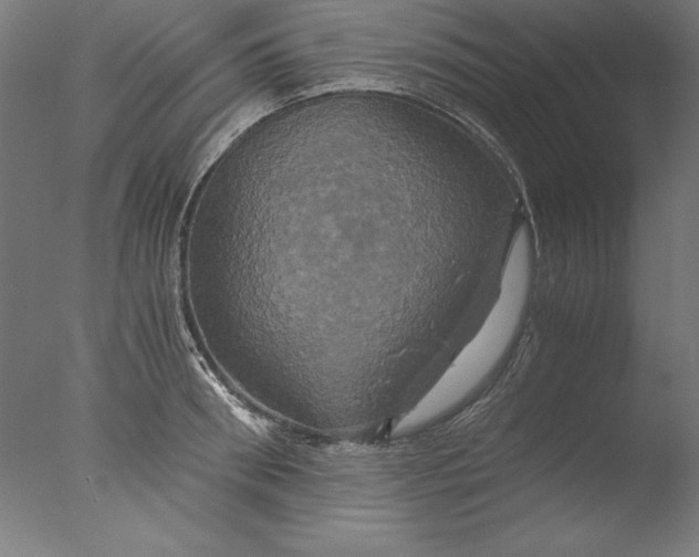 X0000076330898200610201701