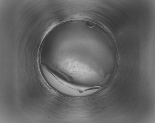 X0000076330899200610201701