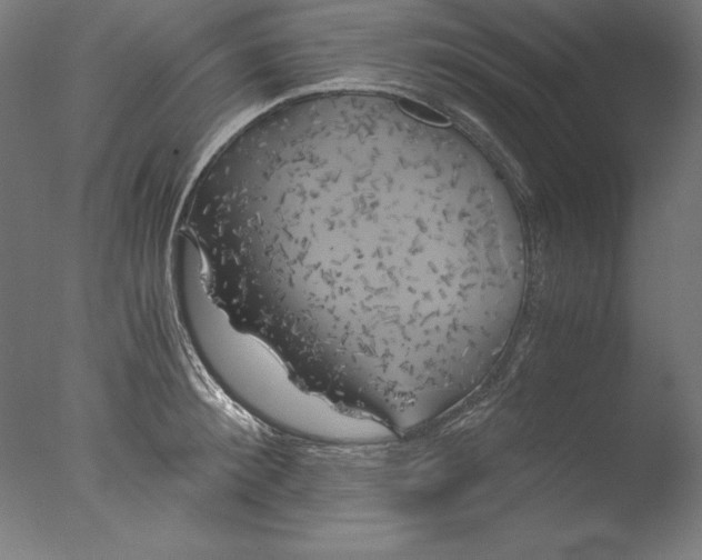 X0000076330900200610201701