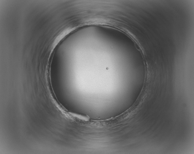 X0000076330901200610201701