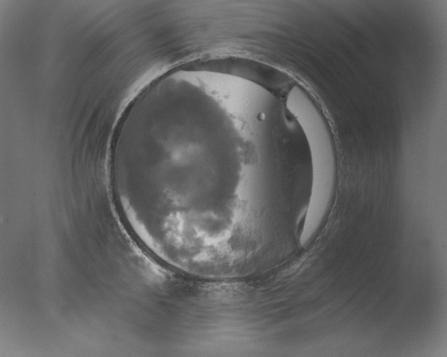 X0000076330902200610201701