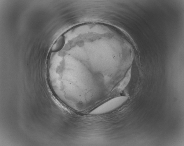 X0000076330903200610201701