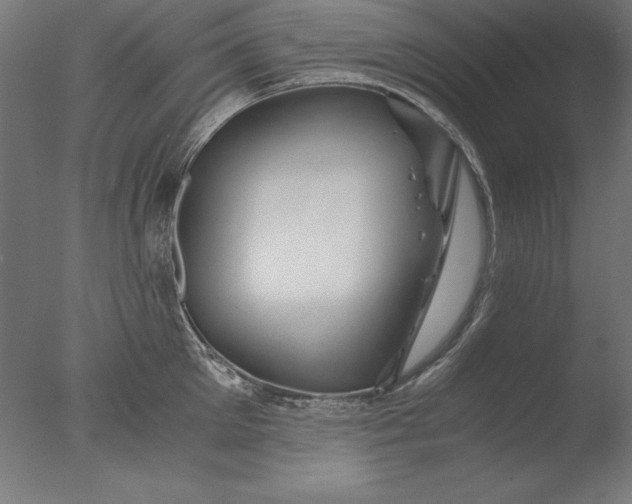 X0000076330905200610201701