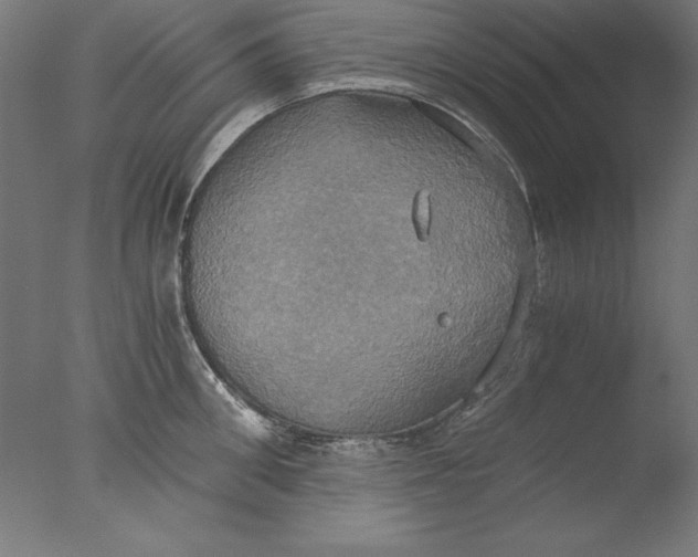 X0000076330906200610201701