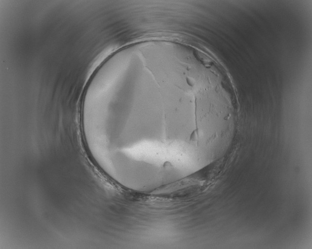 X0000076330907200610201701