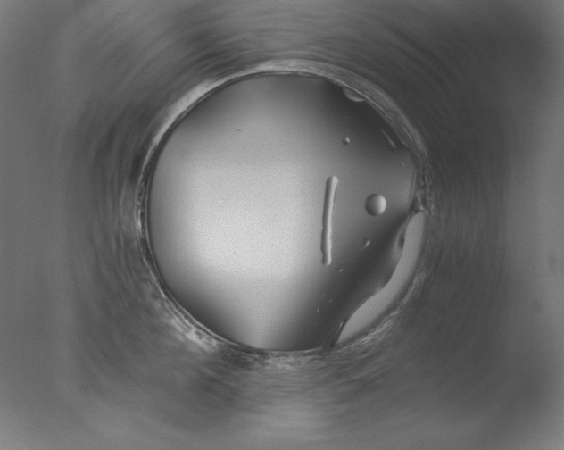 X0000076330908200610201701