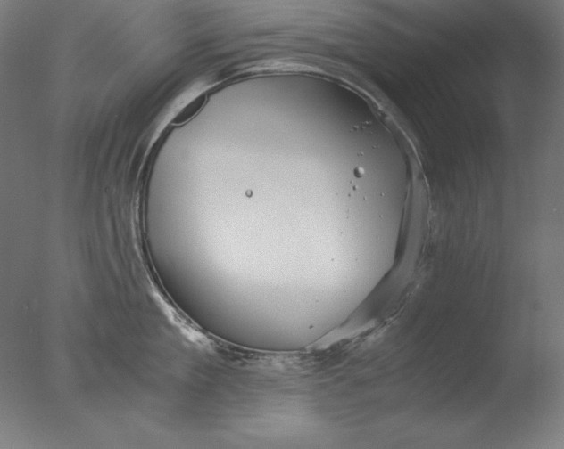 X0000076330909200610201701