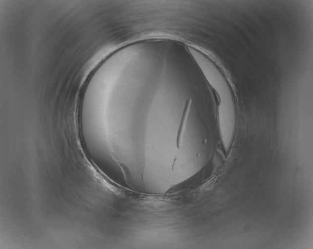 X0000076330910200610201701