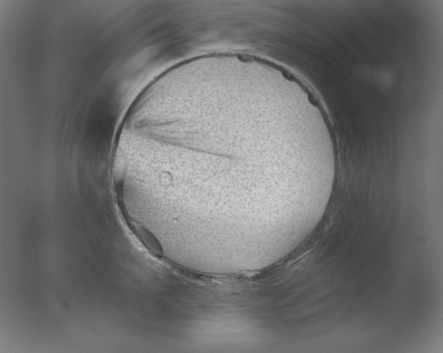 X0000076330911200610201701