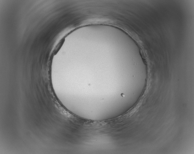 X0000076330912200610201701