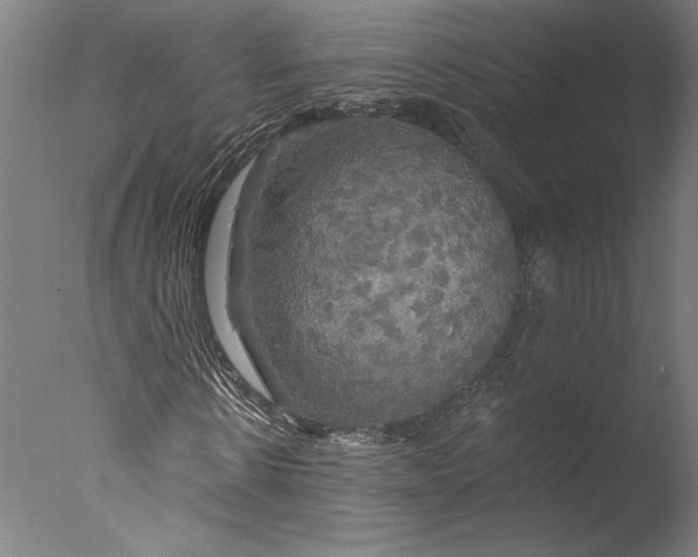 X0000076330914200610201700