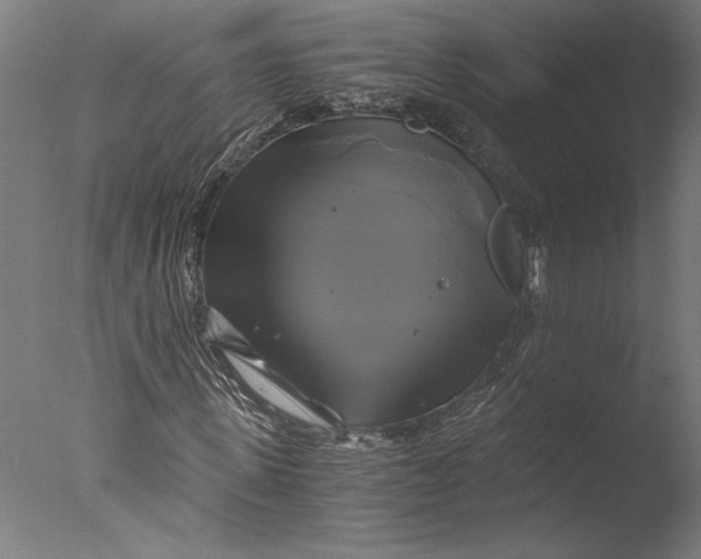 X0000076330915200610201700