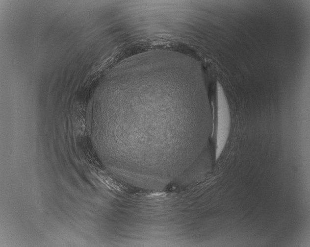 X0000076330916200610201700