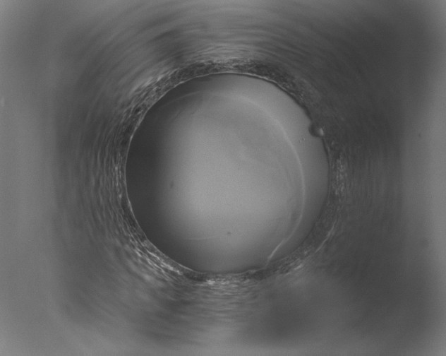 X0000076330917200610201700