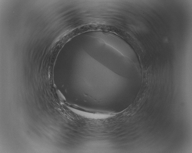 X0000076330919200610201700