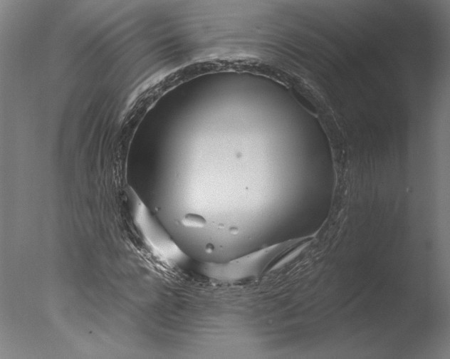 X0000076330920200610201701