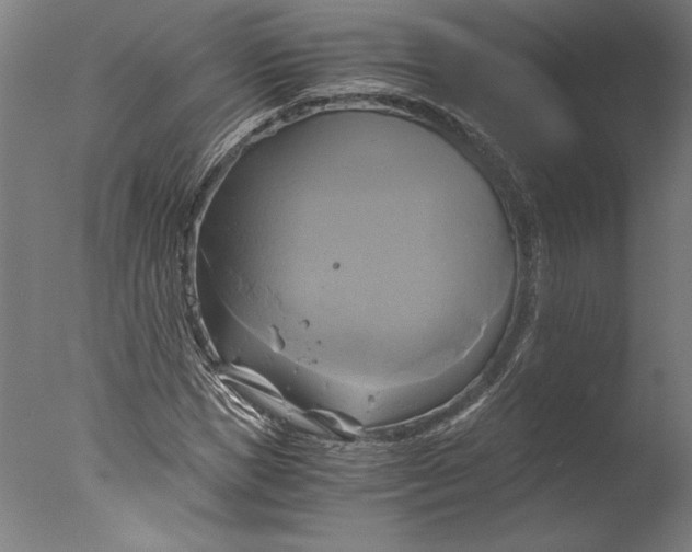 X0000076330921200610201701