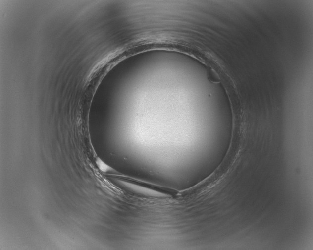 X0000076330922200610201701